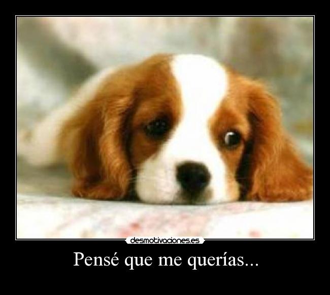 Pensé que me querías... -