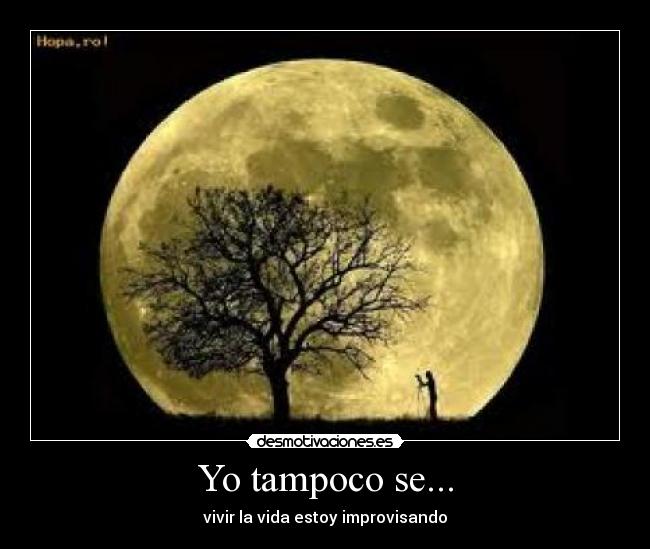 Yo tampoco se... -