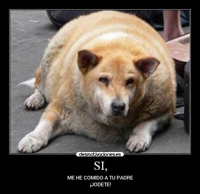 SI, - ME HE COMIDO A TU PADRE
¡JODETE!
