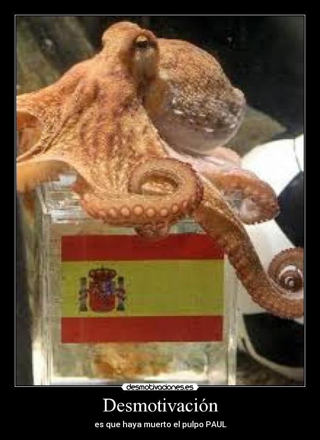 carteles amin desmotivaciones