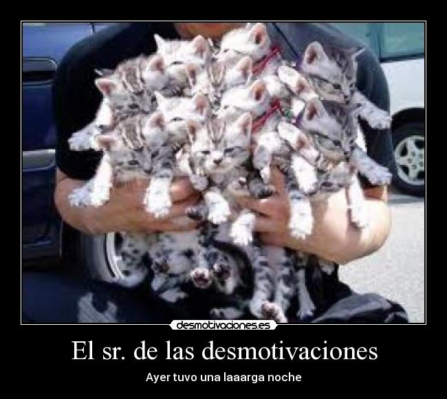El sr. de las desmotivaciones - Ayer tuvo una laaarga noche