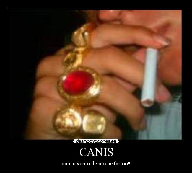 CANIS -