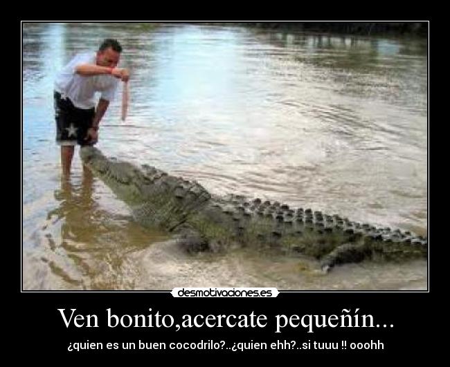 Ven bonito,acercate pequeñín... - 