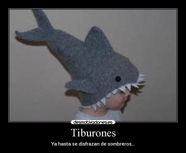 Tiburones - Ya hasta se disfrazan de sombreros...