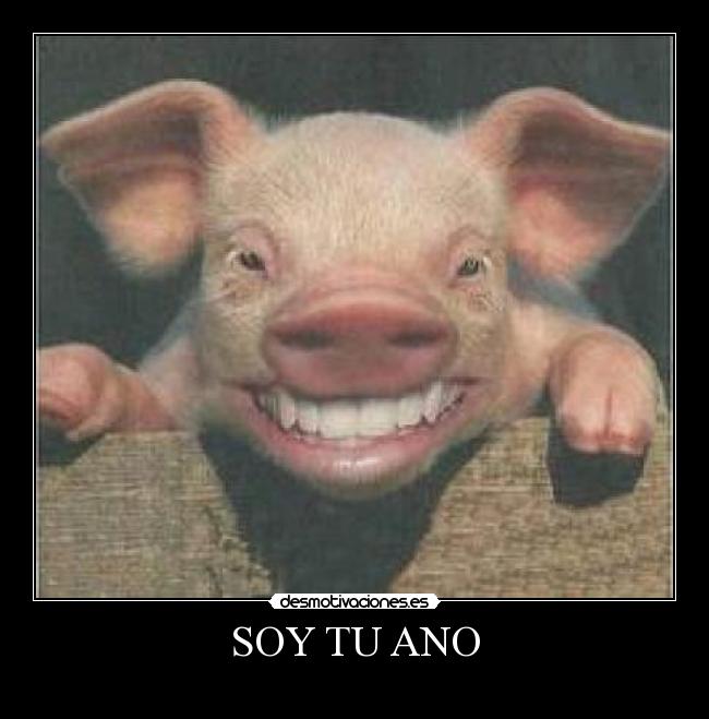 SOY TU ANO -