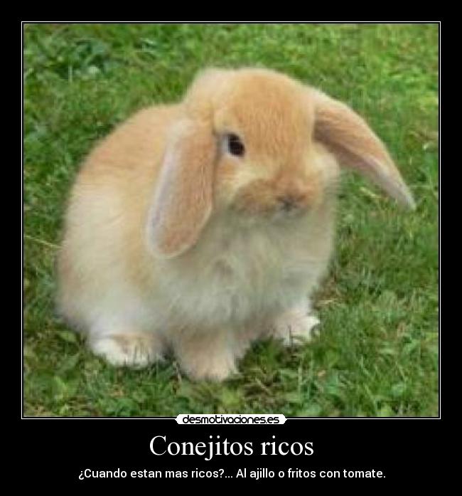 Conejitos ricos -