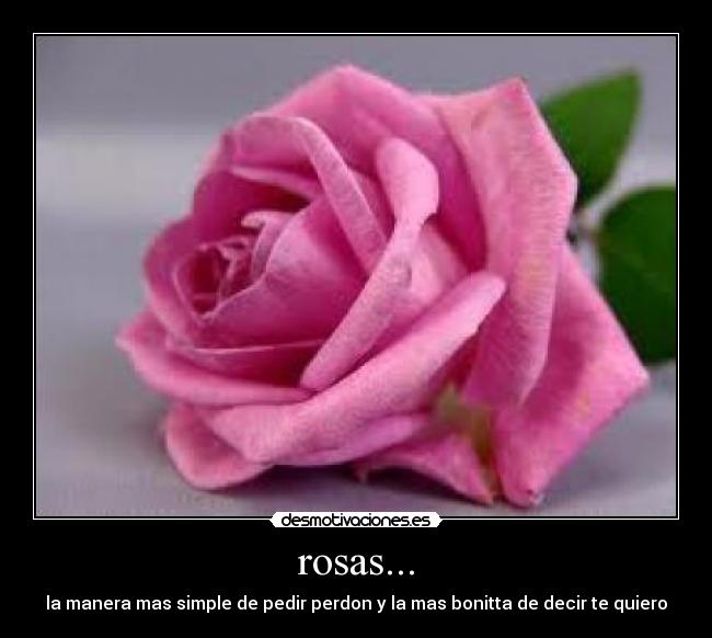rosas... - la manera mas simple de pedir perdon y la mas bonitta de decir te quiero