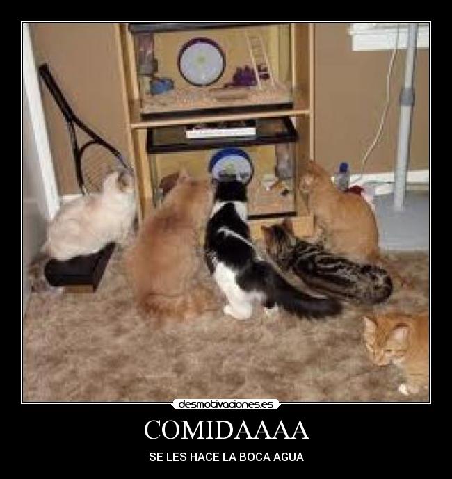 COMIDAAAA - SE LES HACE LA BOCA AGUA