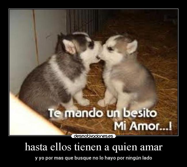 hasta ellos tienen a quien amar - y yo por mas que busque no lo hayo por ningún lado