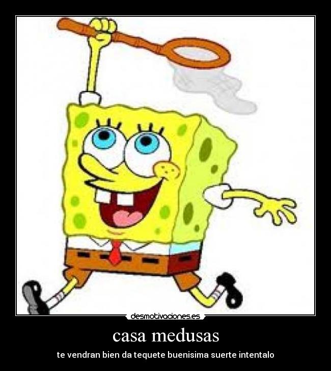 casa medusas -