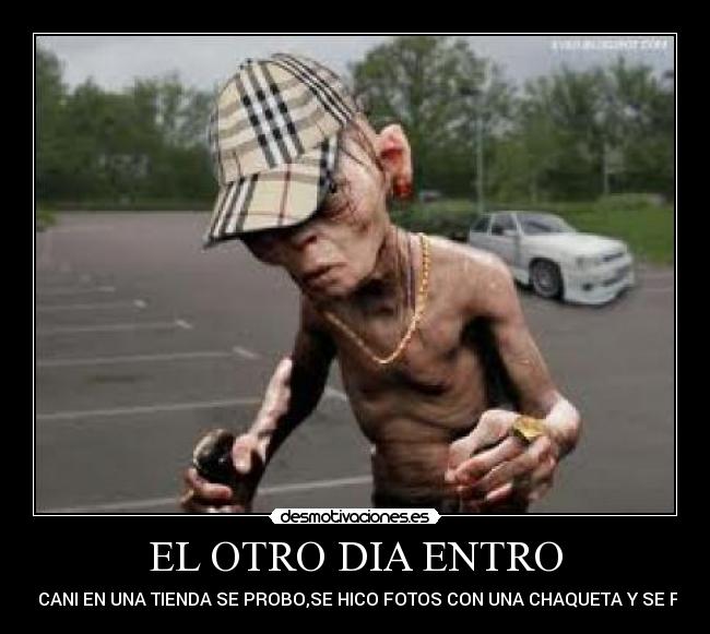 EL OTRO DIA ENTRO - UN CANI EN UNA TIENDA SE PROBO,SE HICO FOTOS CON UNA CHAQUETA Y SE FUE