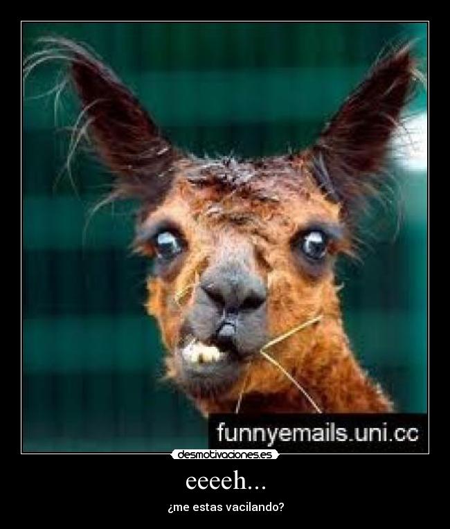 eeeeh... - ¿me estas vacilando?