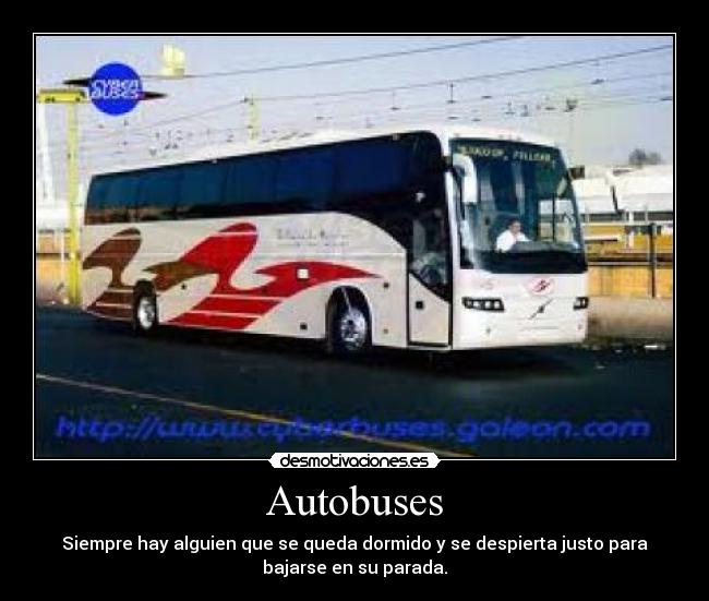Autobuses -