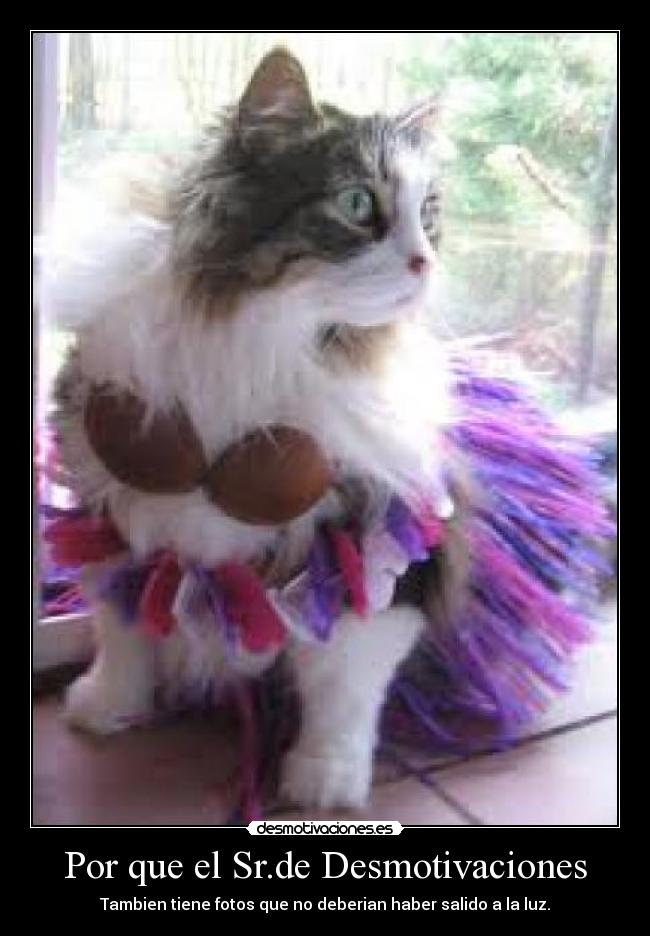 Por que el Sr.de Desmotivaciones - Tambien tiene fotos que no deberian haber salido a la luz.