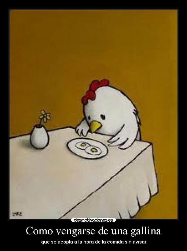 Como vengarse de una gallina - que se acopla a la hora de la comida sin avisar