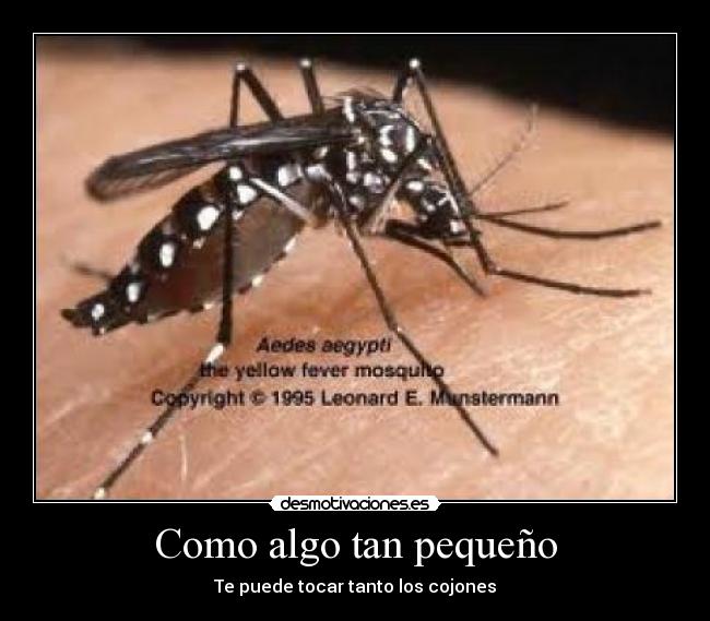 Como algo tan pequeño -