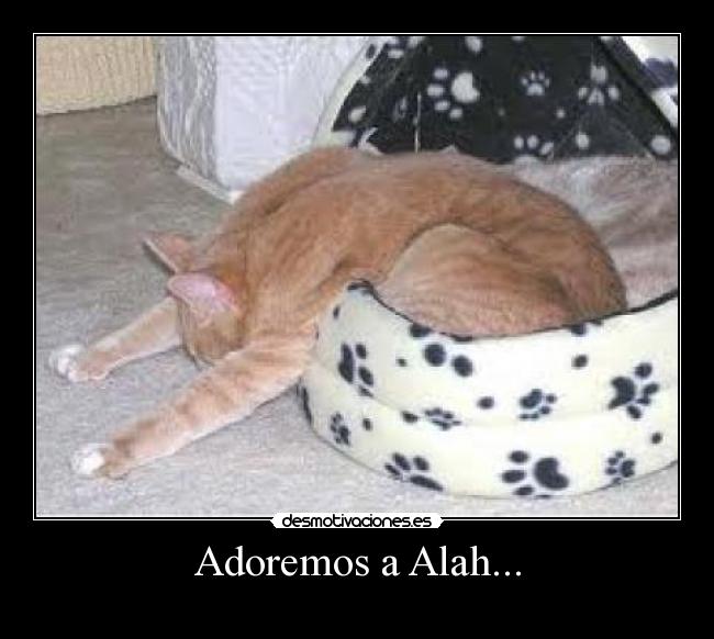 Adoremos a Alah... -