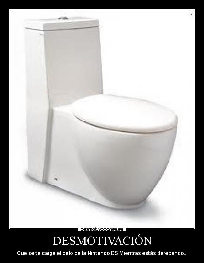 DESMOTIVACIÓN - Que se te caiga el palo de la Nintendo DS Mientras estás defecando...