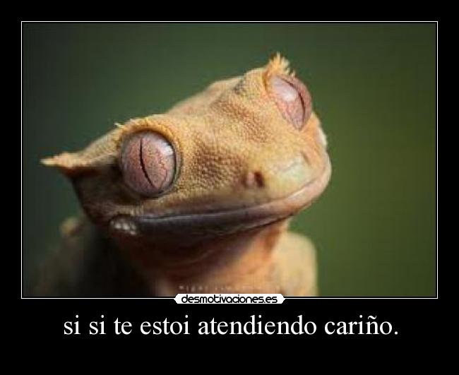 si si te estoi atendiendo cariño. -