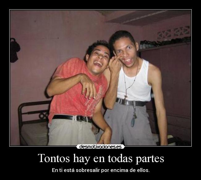 Tontos hay en todas partes - En ti está sobresalir por encima de ellos.