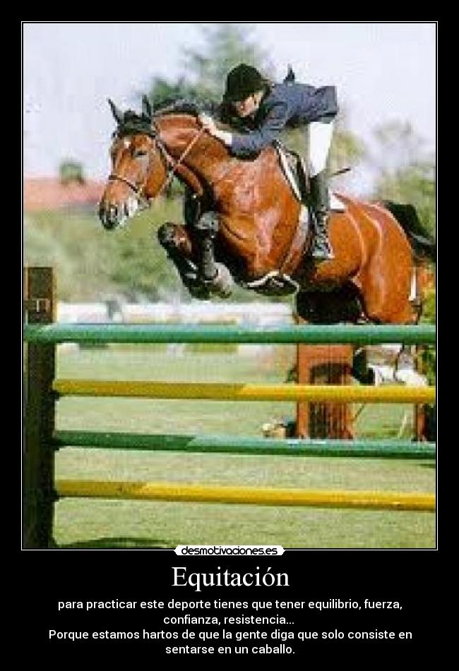 Equitación - 