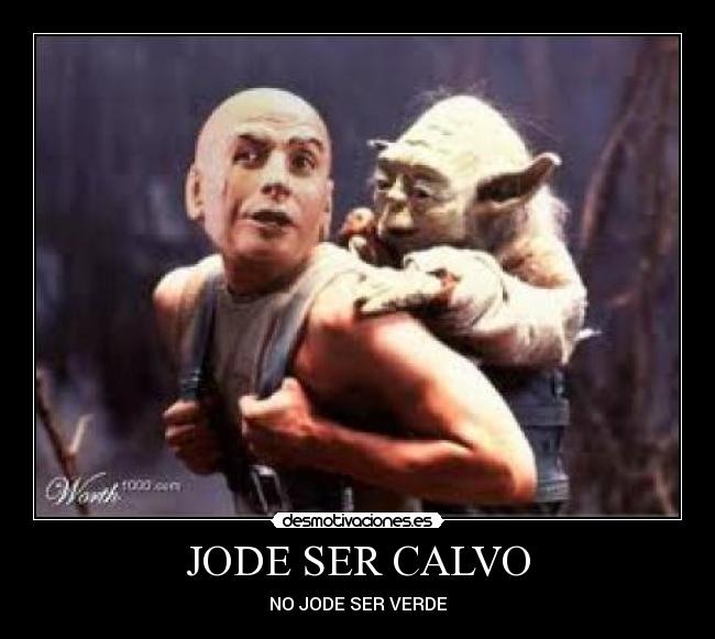 JODE SER CALVO - 