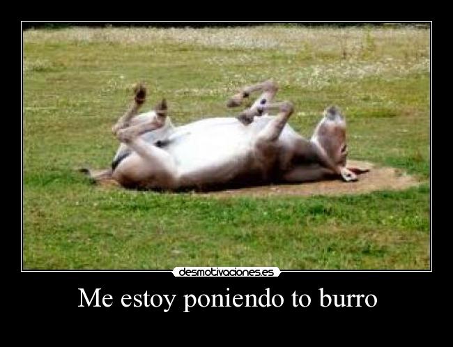 Me estoy poniendo to burro - 