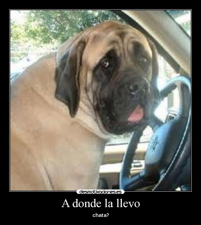 A donde la llevo - chata?