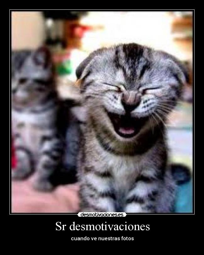 Sr desmotivaciones - cuando ve nuestras fotos
