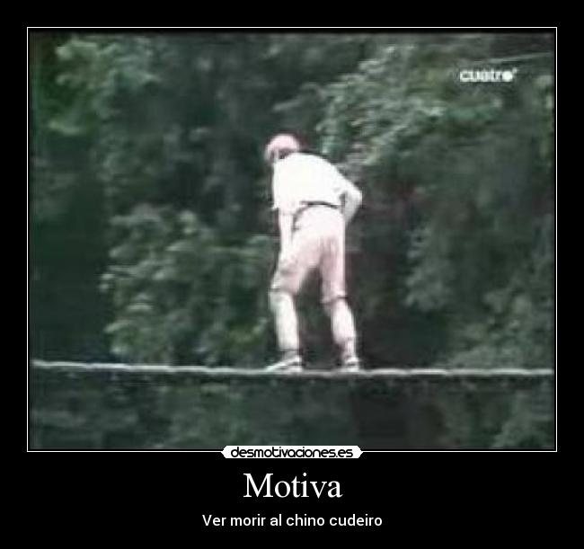 Motiva - Ver morir al chino cudeiro