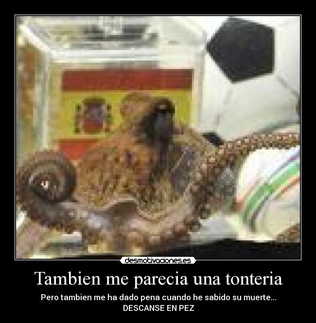 Tambien me parecia una tonteria - Pero tambien me ha dado pena cuando he sabido su muerte...
DESCANSE EN PEZ