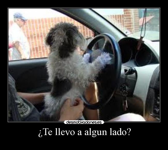 ¿Te llevo a algun lado? -