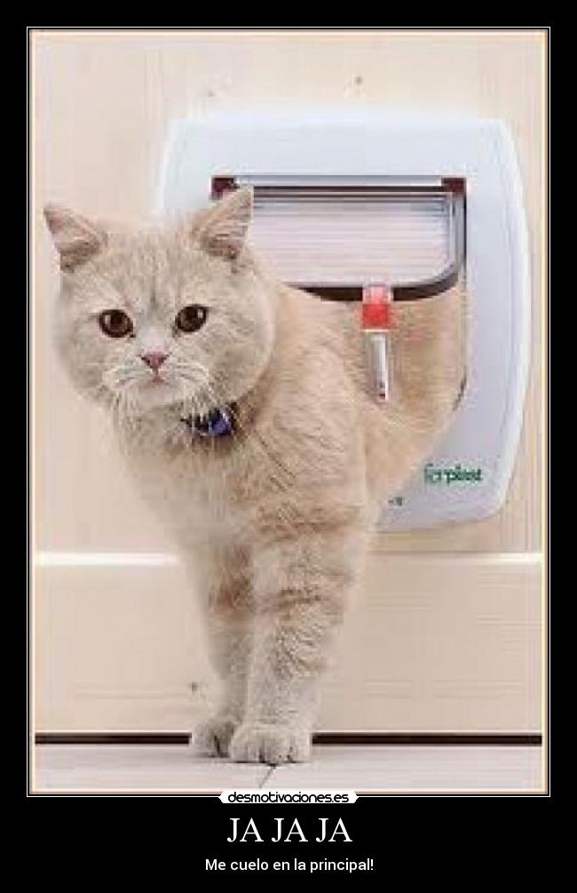 JA JA JA - Me cuelo en la principal!