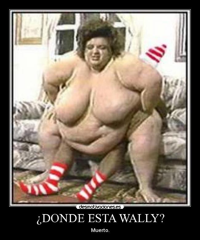 ¿DONDE ESTA WALLY? -