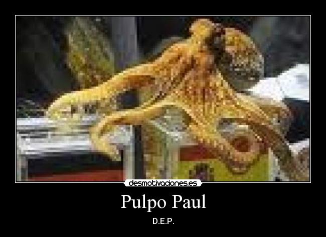 Pulpo Paul - D.E.P.
