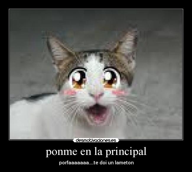 carteles desmotivaciones