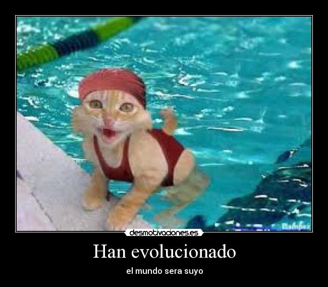 Han evolucionado - el mundo sera suyo