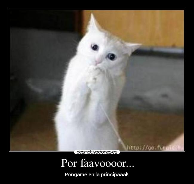 Por faavoooor... - 