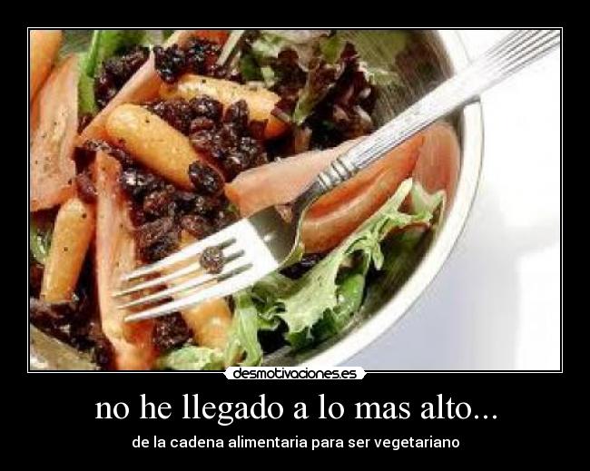 no he llegado a lo mas alto... - 