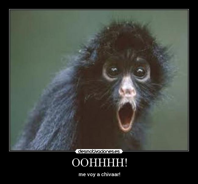 OOHHHH! - me voy a chivaar!