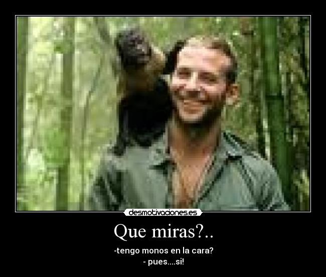 Que miras?.. - 