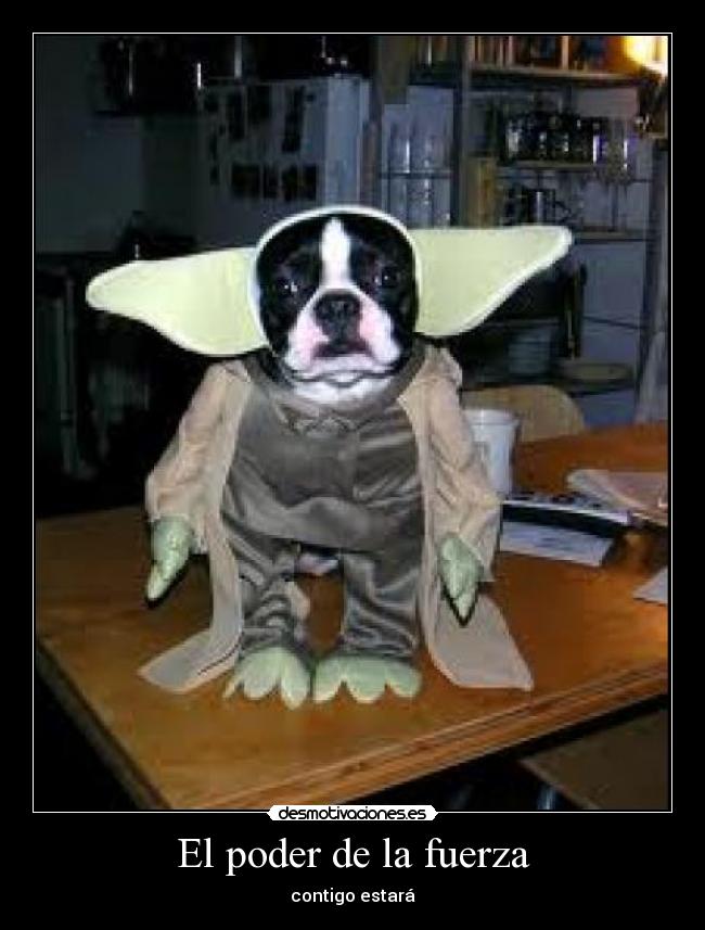 El poder de la fuerza -