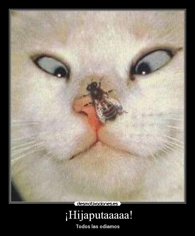 ¡Hijaputaaaaa! - Todos las odiamos