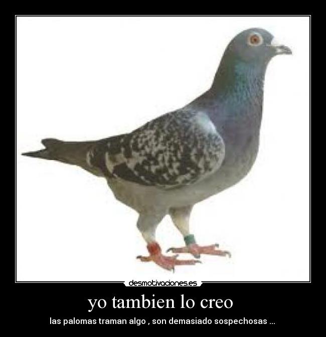 yo tambien lo creo  - 