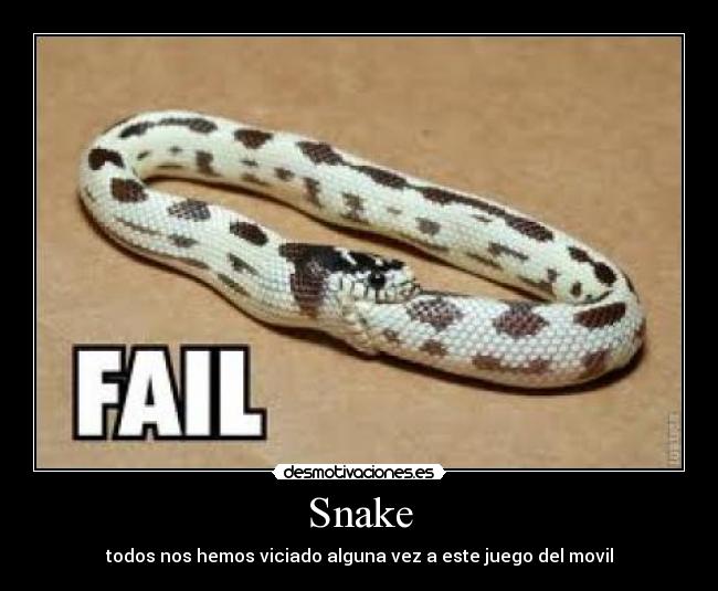 Snake - 