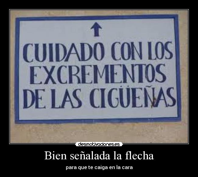 Bien señalada la flecha -