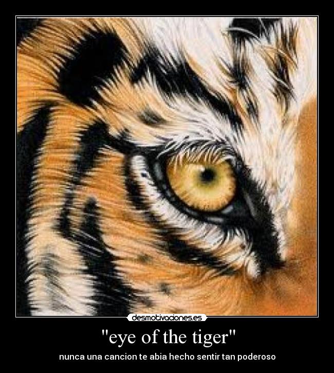 eye of the tiger - nunca una cancion te abia hecho sentir tan poderoso