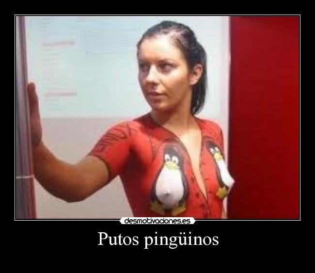 Putos pingüinos -