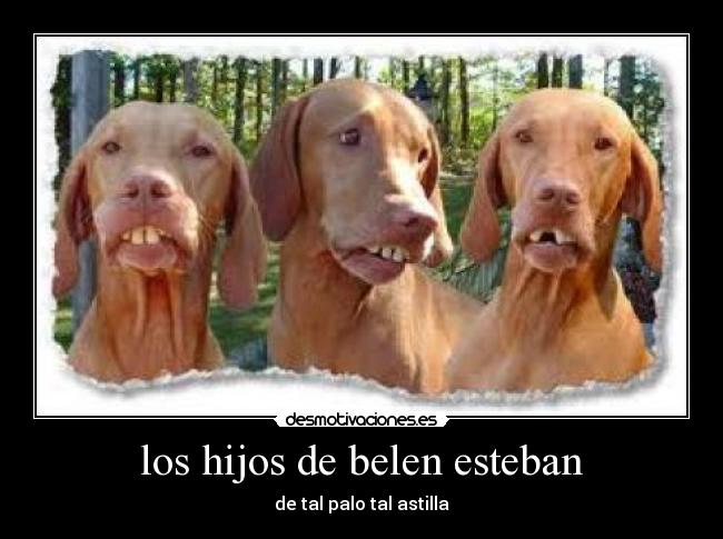 los hijos de belen esteban - 