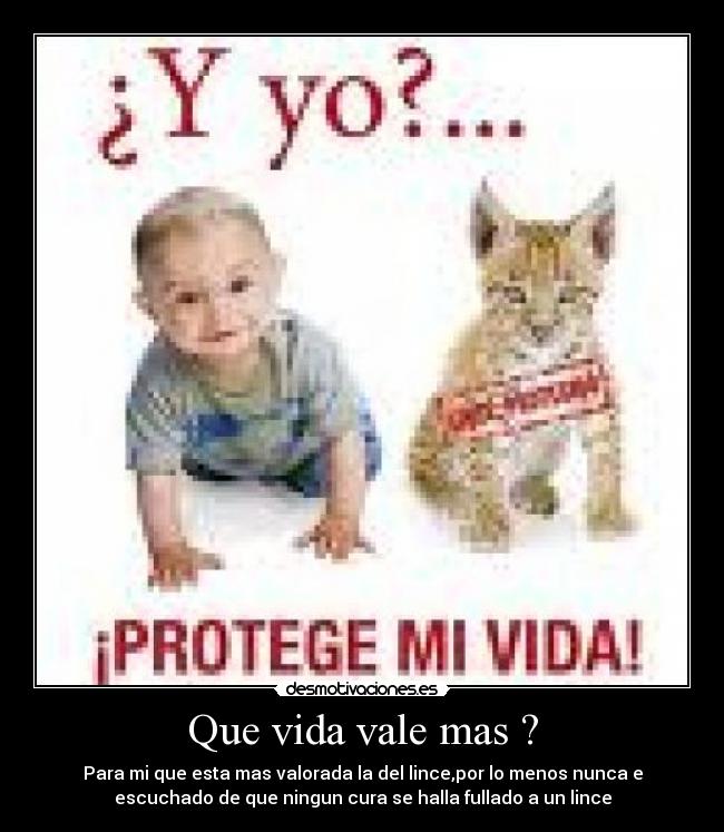 Que vida vale mas ? - Para mi que esta mas valorada la del lince,por lo menos nunca e
escuchado de que ningun cura se halla fullado a un lince